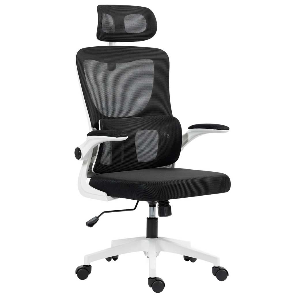 DMTT Ergonomic Office Chair with Recline, Adjustable Height, and Breathable Mesh