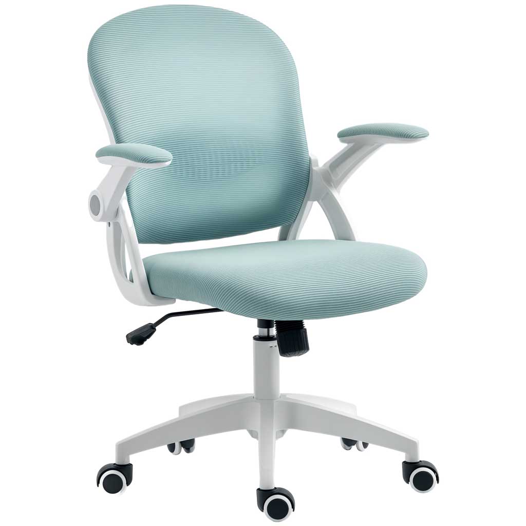 DMTT Ergonomic Office Chair, Mesh Back, Blue-Black