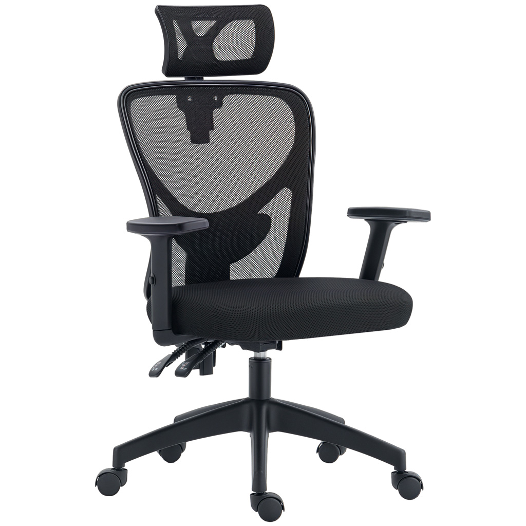 DMTT Ergonomic Office Chair with Lumbar Support and Headrest, Black