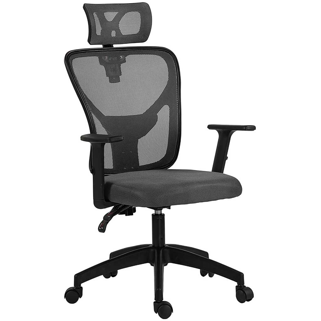 DMTT Ergonomic Office Chair with Lumbar Support and Headrest, Grey