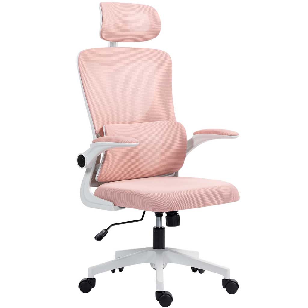 DMTT Reclining Ergonomic Office Chair with Retractable Footrest - Black & Pink